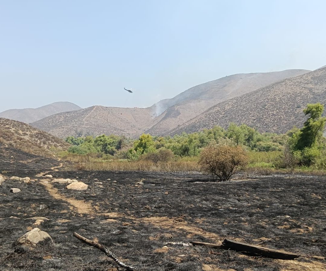 Incendio Forestal Baja California